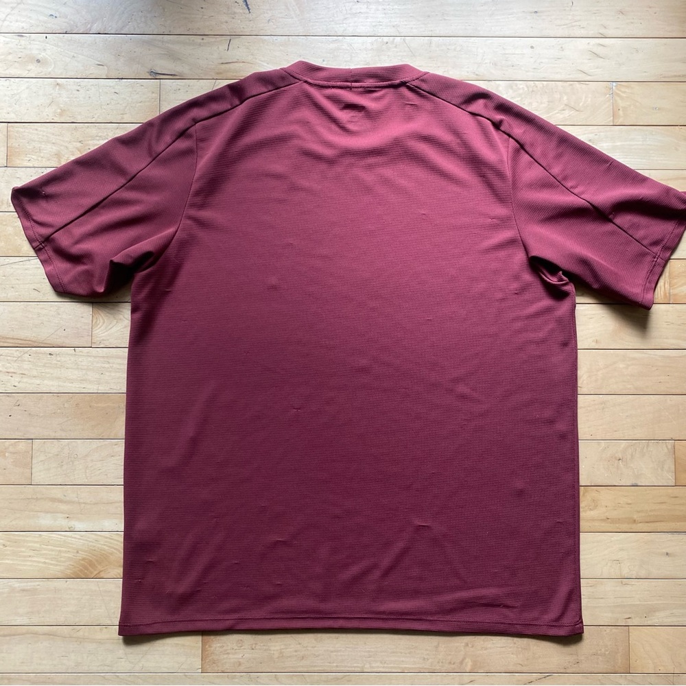 Patagonia Vintage Maroon Athleisure Tee
